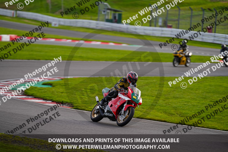 anglesey;brands hatch;cadwell park;croft;donington park;enduro digital images;event digital images;eventdigitalimages;mallory;no limits;oulton park;peter wileman photography;racing digital images;silverstone;snetterton;trackday digital images;trackday photos;vmcc banbury run;welsh 2 day enduro